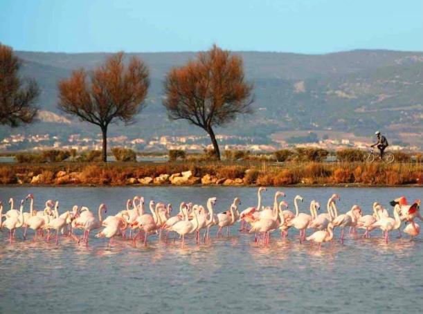 פרונטיניאן Le Nautica Plage T2 Climatise En Bord De Mer מראה חיצוני תמונה